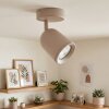 LED Plafondspot Lemak, draaibare en zwenkbare cilindrische spotkop, zandkleurig