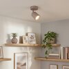 LED Plafondspot Lemak, draaibare en zwenkbare cilindrische spotkop, zandkleurig