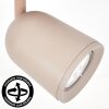 LED Plafondspot Lemak, draaibare en zwenkbare cilindrische spotkop, zandkleurig