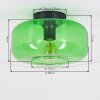 Boza groene glazen plafondlamp met bolvormige kap, retro vintage voor woonkamer