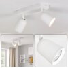 Moderne LED-plafondspot Lemak met 2 draaibare en zwenkbare lichtkoppen voor hal en entree