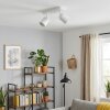 Moderne LED-plafondspot Lemak met 2 draaibare en zwenkbare lichtkoppen voor hal en entree