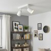 Moderne LED-plafondspot Lemak met 2 draaibare en zwenkbare lichtkoppen voor hal en entree