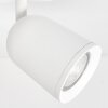 Moderne LED-plafondspot Lemak met 2 draaibare en zwenkbare lichtkoppen voor hal en entree