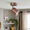 LED Lemak richtbare plafondspot in geborstelde koperlook, GU10 opbouwspot