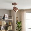 LED Lemak richtbare plafondspot in geborstelde koperlook, GU10 opbouwspot