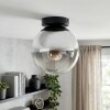Gastor plafondlamp met rookglas bol, E27 retro plafondverlichting voor woonkamer