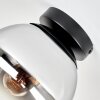 Gastor plafondlamp met rookglas bol, E27 retro plafondverlichting voor woonkamer