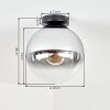Gastor plafondlamp met rookglas bol, glazen lamp met E27 fitting voor woonkamer