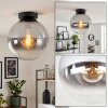 Modern Kogellampje Gastor met rookglazen kap, helder en chroom, ø 25 cm en E27-fitting