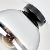 Modern Kogellampje Gastor met rookglazen kap, helder en chroom, ø 25 cm en E27-fitting
