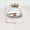 Gastor plafondlamp met rookglazen bol, messing afwerking, retro E27