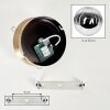 Gastor plafondlamp met rookglazen bol, messing afwerking, retro E27