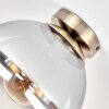 Gastor plafondlamp rookglas, glazen bol met messing look en E27 fitting