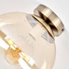 Gastor rookglas plafondlamp glazen bol ø 25 cm, E27 vintage messingkleurig
