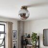 Vintage plafondlamp met glazen bol Gastor, rookkleurig glas, ø 20 cm, E27