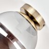 Vintage plafondlamp met glazen bol Gastor, rookkleurig glas, ø 20 cm, E27