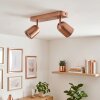 Moderne LED Plafondspot Lemak met twee bronzen, draaibare en zwenkbare lichtkoppen