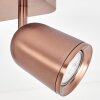 Moderne LED Plafondspot Lemak met twee bronzen, draaibare en zwenkbare lichtkoppen