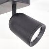 LED Plafondspot Lemak met twee draai- en zwenkbare cilindrische koppen voor hal en entree
