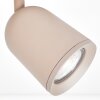 LED-plafondspot Lemak met drie draaibare en zwenkbare armatuurkoppen, beige
