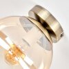 Retro-kogellampje Gastor met amberkleurige en heldere glazen bol, ø 20 cm, E27