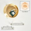 Gastor globe plafondlamp E27, ronde plafondverlichting voor woonkamer en hal
