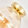 Gastor globe plafondlamp E27, ronde plafondverlichting voor woonkamer en hal
