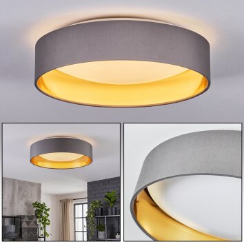 LED plafondlamp Kavon met ronde stoffen kap, gouden binnenzijde, 3000 Kelvin warmwit