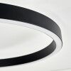 Narok LED plafondlamp met afstandsbediening, moderne dubbele ringvorm voor woonkamer