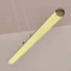 Flaut Hanglamp LED Chroom, 1-licht, Afstandsbediening, Kleurwisselaar