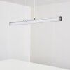 Flaut Hanglamp LED Chroom, 1-licht, Afstandsbediening, Kleurwisselaar
