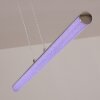 Flaut Hanglamp LED Chroom, 1-licht, Afstandsbediening, Kleurwisselaar