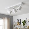 Moderne LED Plafondspot Lemak met drie draaibare en zwenkbare spotkoppen