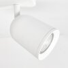 Moderne LED Plafondspot Lemak met drie draaibare en zwenkbare spotkoppen