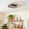 Calista ronde LED plafondlamp, platte plafondverlichting ø 29,5 cm, modern