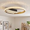 LED plafondlamp Calista met heldere ring, CCT 3000–6000 Kelvin, warm-, neutraal- en daglichtwit