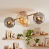 Clusterplafondlamp Chehalis met 4 glazen schermen in amber en rookkleurig, zandkleurig frame