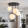 Chehalis plafondlamp met bollen, 4-lichts moderne plafondverlichting G9