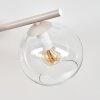 Kogel-plafondlamp Koyoto met 4 heldere glazen schermen, E14, zandkleurig metalen armatuur