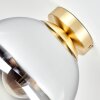 Gastor bolvormige plafondlamp rond Ø 25 cm, E27 fitting voor eetkamer en hal