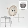 Cluster-plafondlamp Koyoto met 5 heldere en rookkleurige glazen bollen, E14