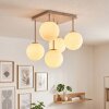 Gastor plafondlamp bollenlamp 5-lichts met E14 fitting voor eetkamer en woonkamer