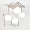 Gastor plafondlamp bollenlamp 5-lichts met E14 fitting voor eetkamer en woonkamer