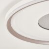 Orvix LED plafondlamp met afstandsbediening, ronde plafondverlichting ø 59 cm