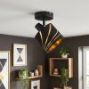 Alsen plafondspot met verstelbare lampkop, E14, Ø 12 cm, modern-retro voor woonkamer