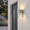 Tamarin LED buitenwandlamp met bewegingsmelder, kubusvormig up-down effect