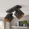 Alsen 2-lichts plafondlamp met draaibare en zwenkbare spots, honingraat lichtpatroon