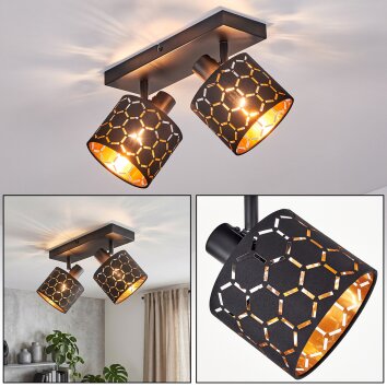 Alsen 2-lichts plafondlamp met draaibare en zwenkbare spots, honingraat lichtpatroon
