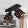 Alsen 2-lichts plafondspot met rasterkap en schaduweffect, moderne vintagestijl